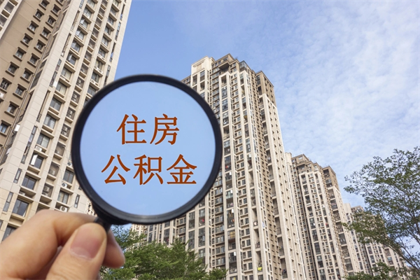 公积金怎么一次性全部提取-日土公积金代办平台